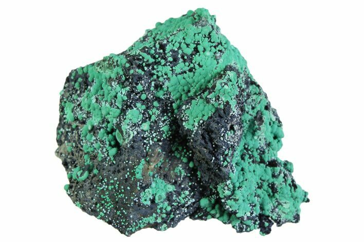 Blue-Green Botryoidal Chrysocolla - Planet Mine, Arizona #358228